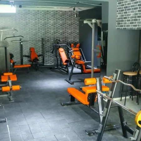 阿莱西亚酒店及水疗中心 酒店 锡德