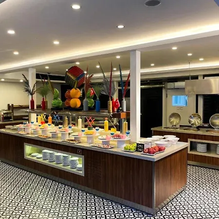 阿莱西亚酒店及水疗中心 锡德
